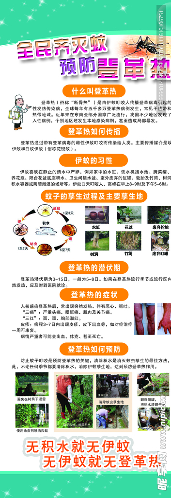 预防登革热