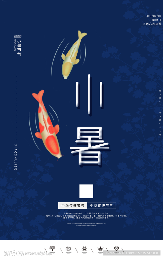 小暑鲤鱼插画海报