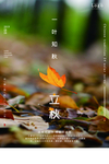 立秋文艺海报