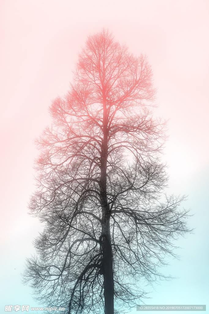 树