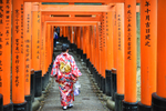 日本旅游