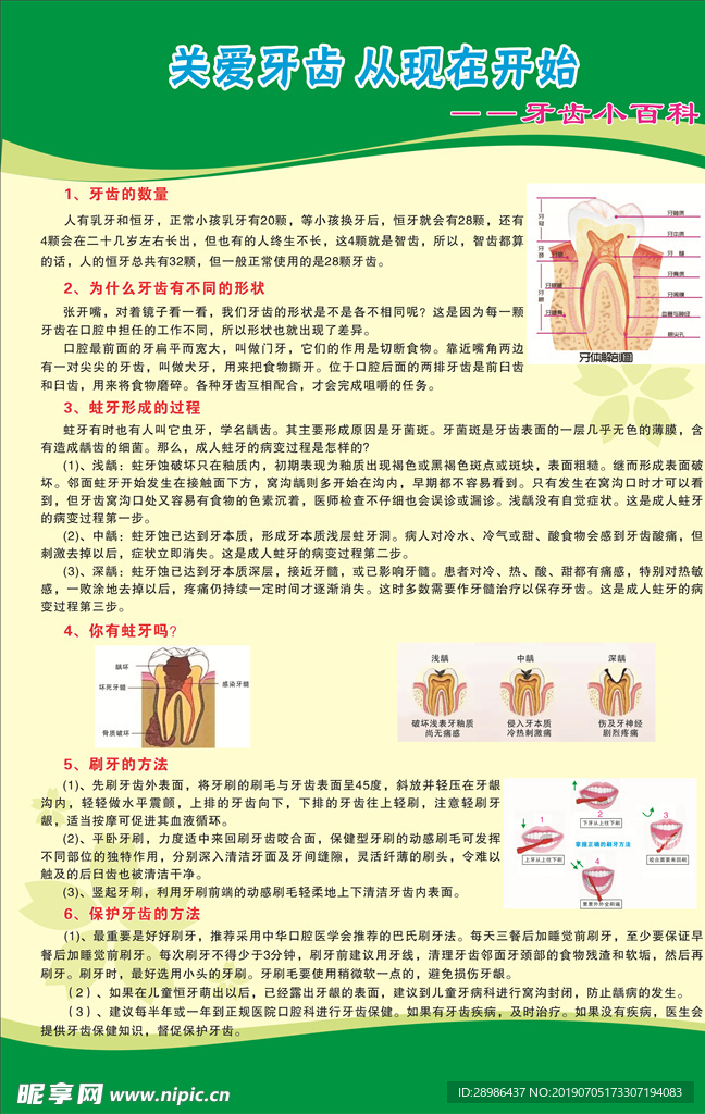 关爱牙齿从现在开始