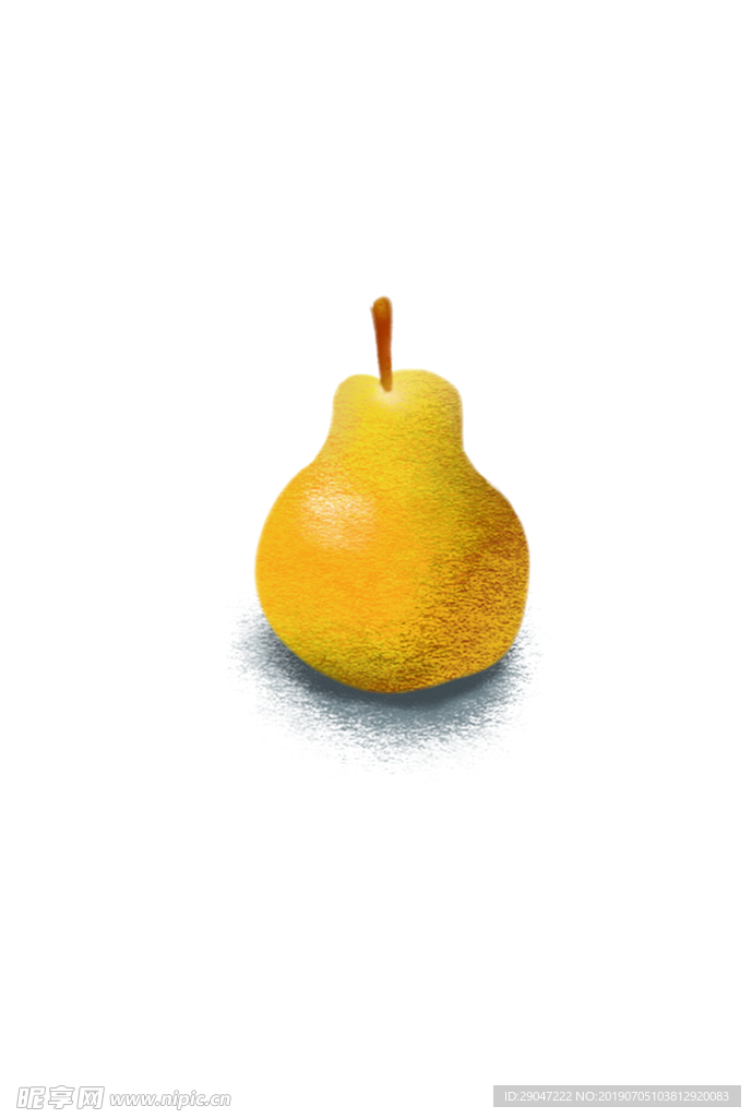 手绘梨