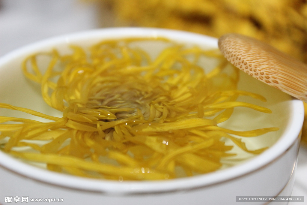 金丝皇菊