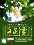 白莲雾海报设计
