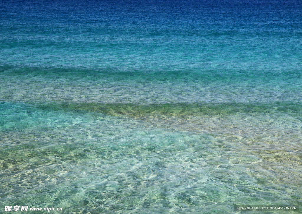 大海