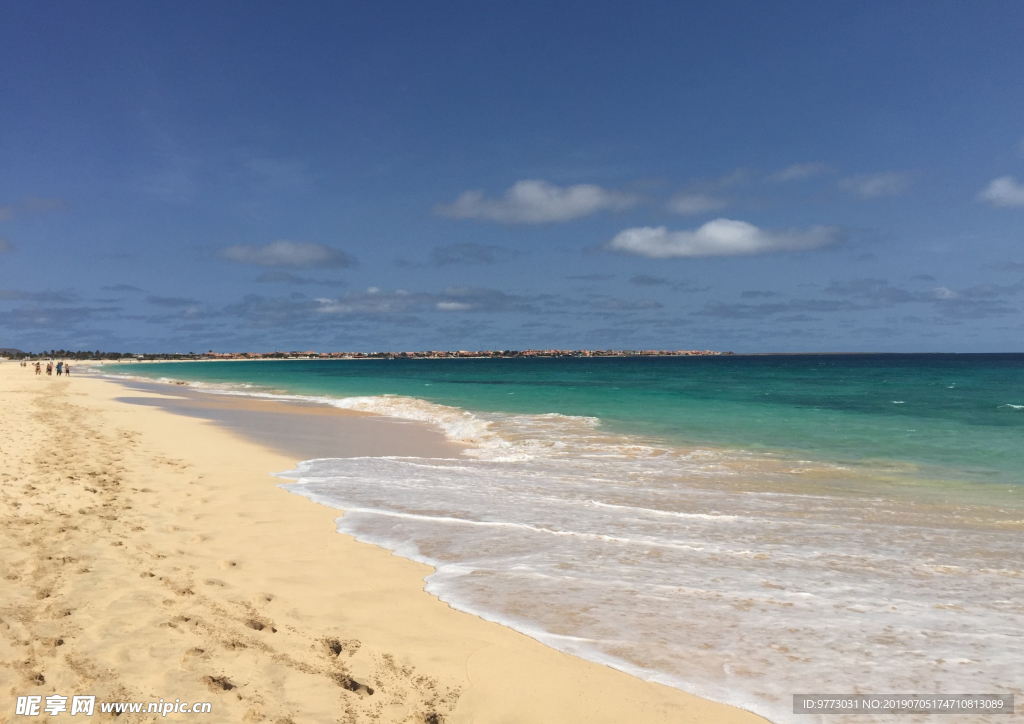 大海