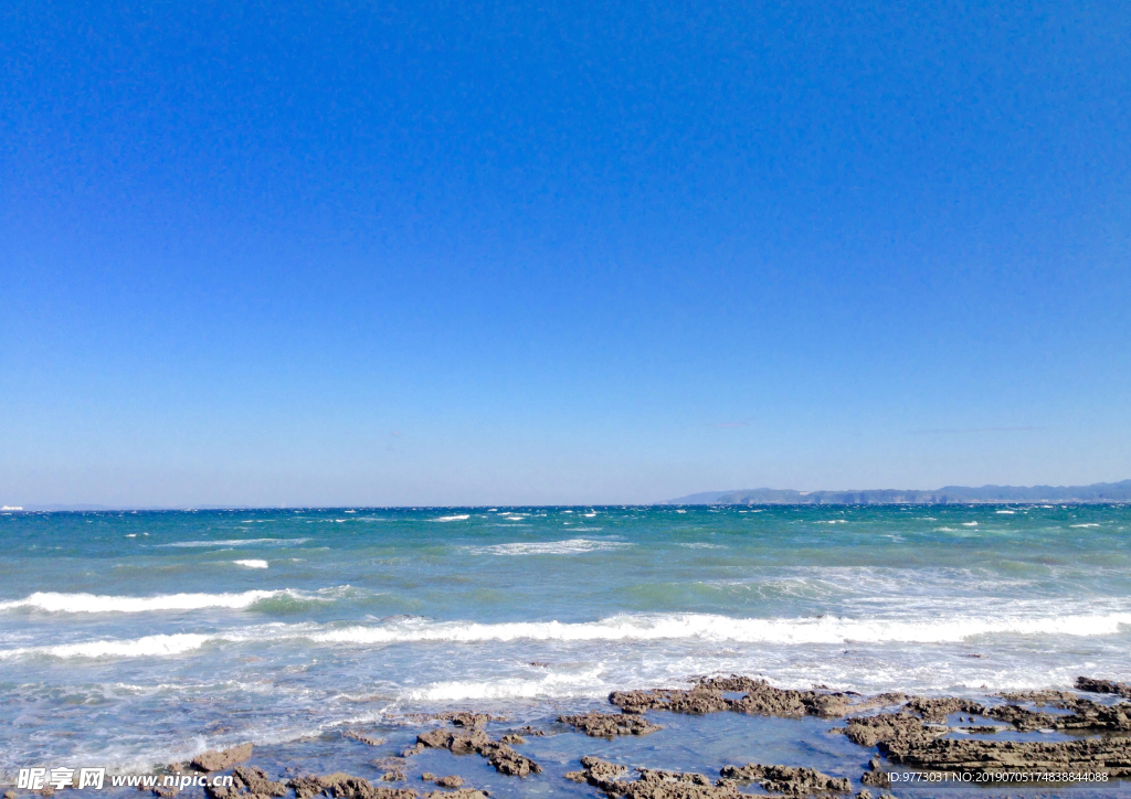 大海
