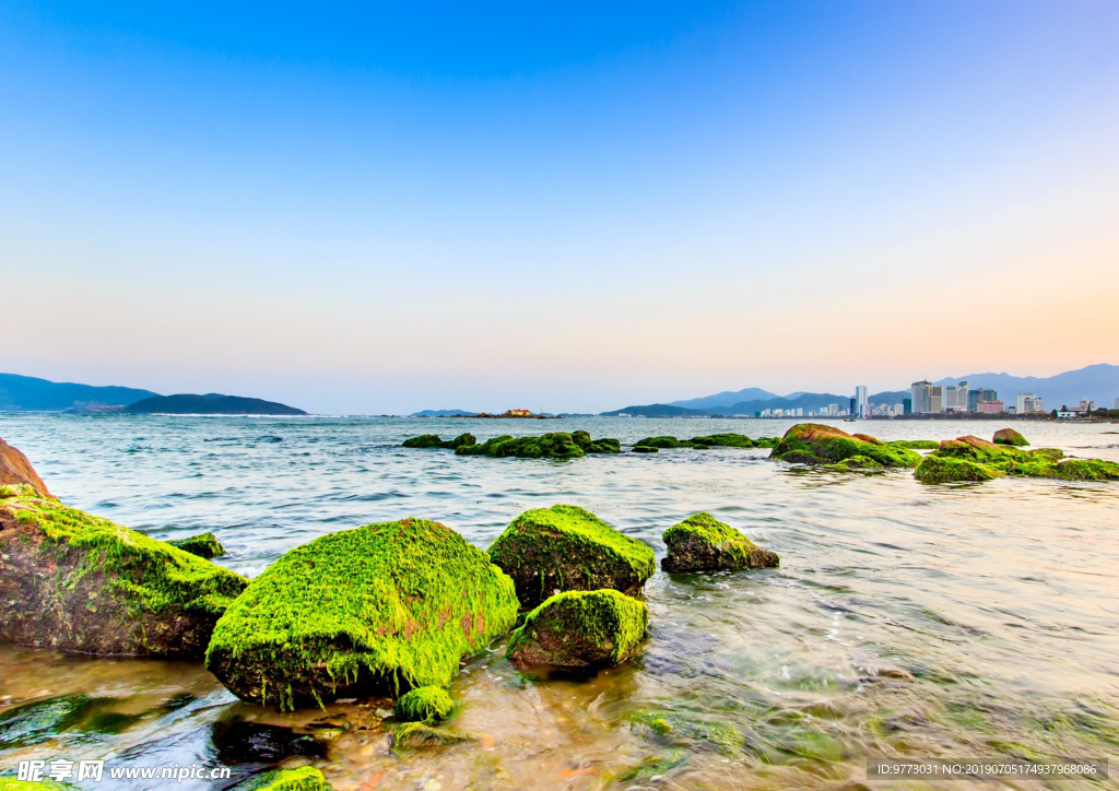 大海