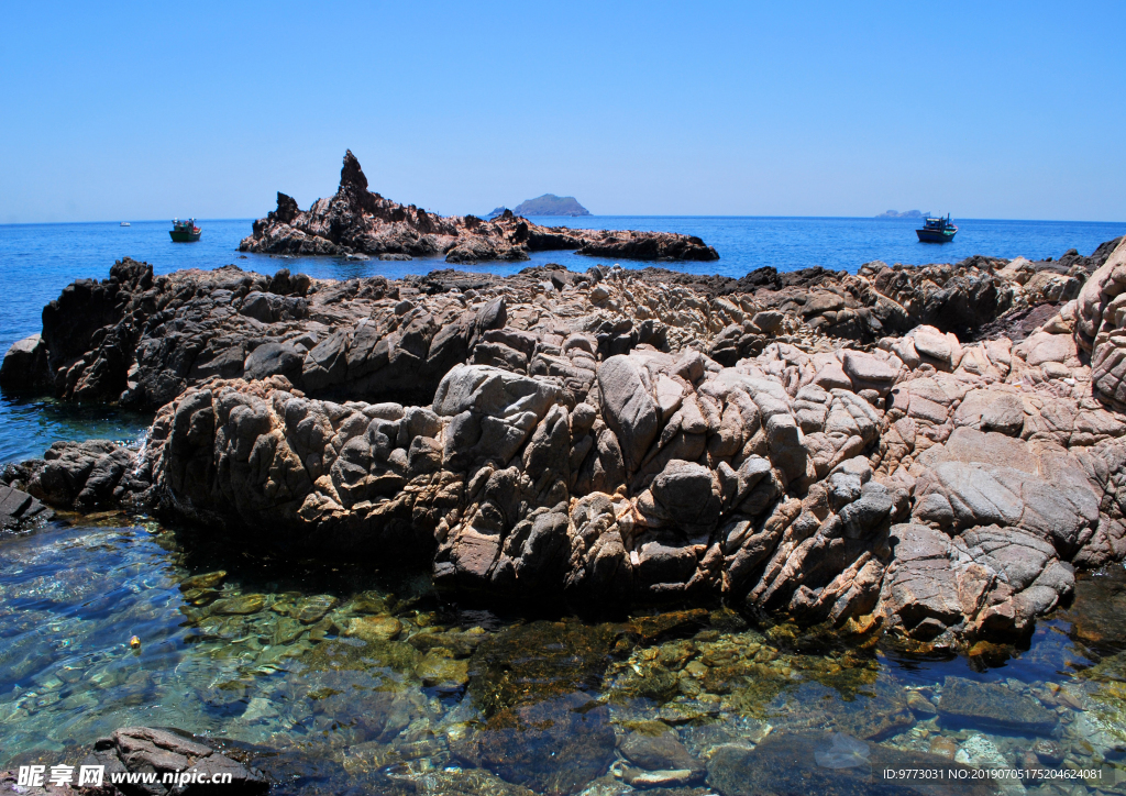 大海