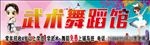 武术舞蹈馆