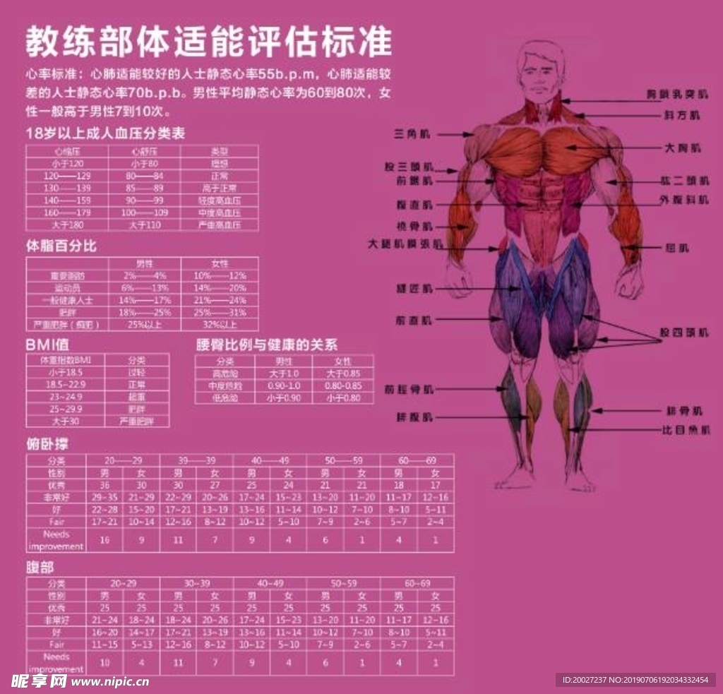 健身体侧对照图