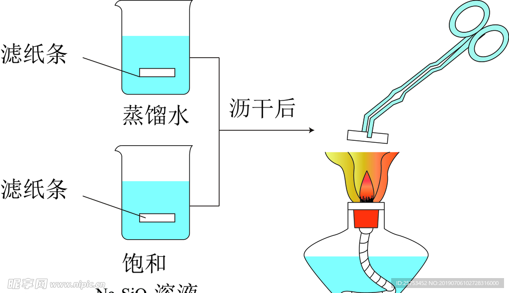 ph值测试实验图