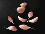 蒜瓣 大蒜 紫皮大蒜 紫皮蒜