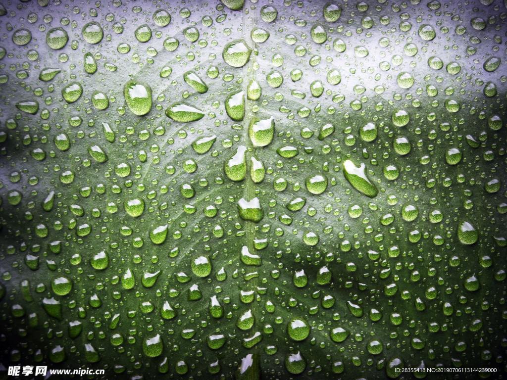 雨滴