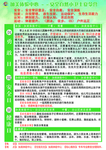 夏令营文字排版