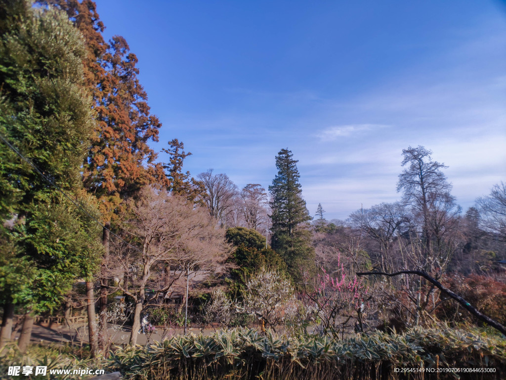 日本东京公园美景