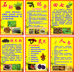 中药干货海报