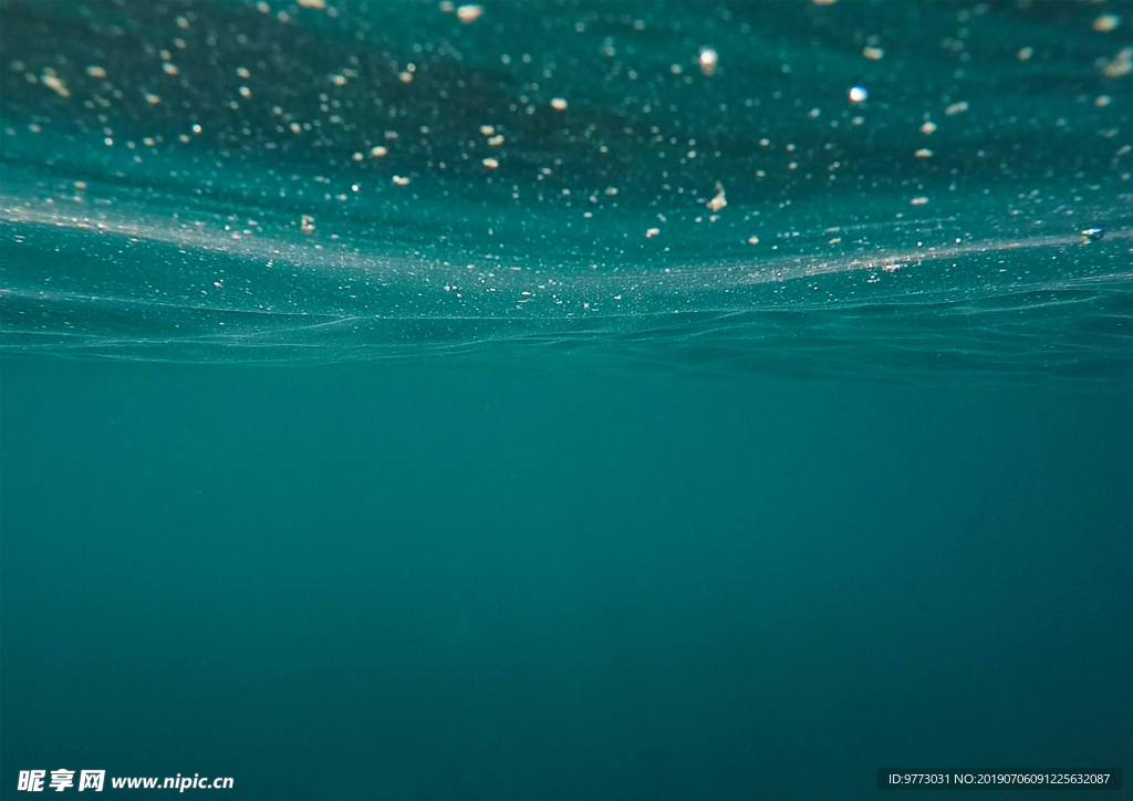 大海