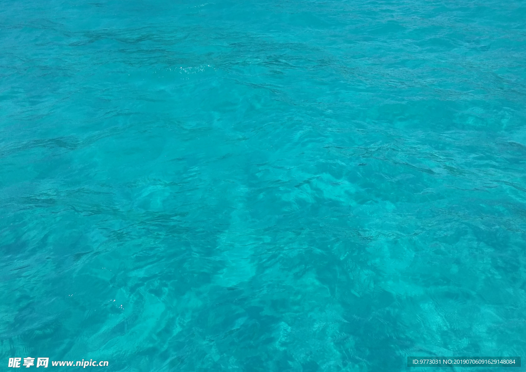 大海