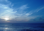 大海