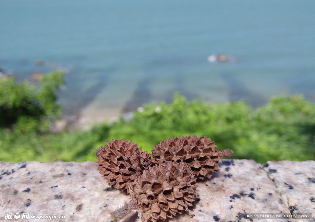 大海