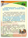 食品安全传单