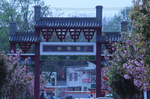樱花小镇