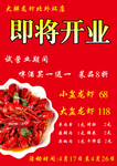 彩页