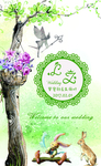 婚礼   素材   模板
