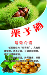 栗子酒
