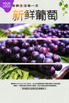 葡萄