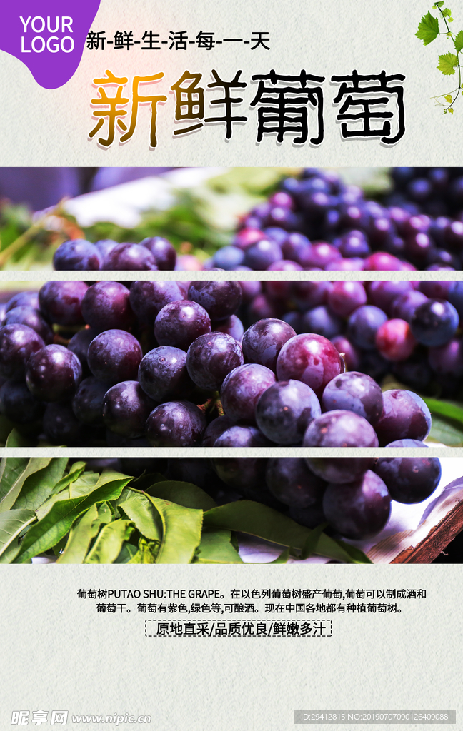 葡萄