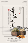 养生