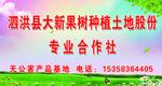 专业合作社