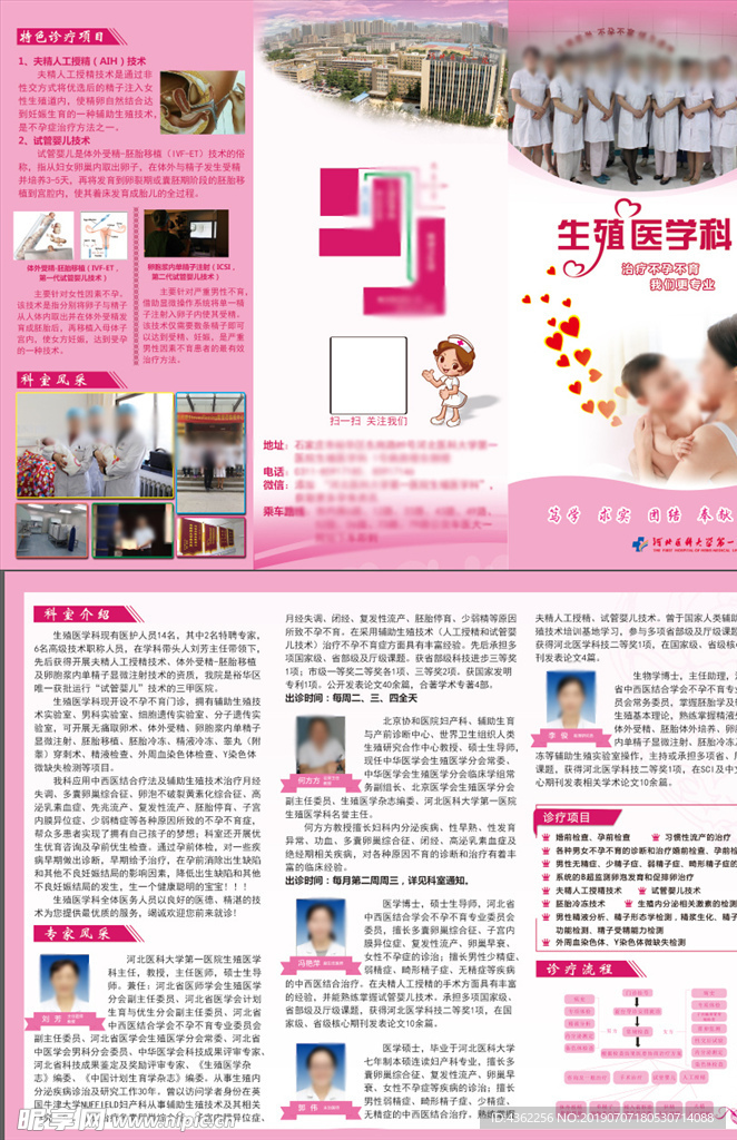 生殖 医学 三折页