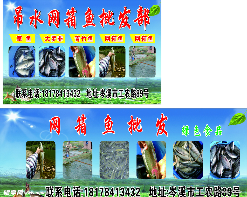 网箱鱼