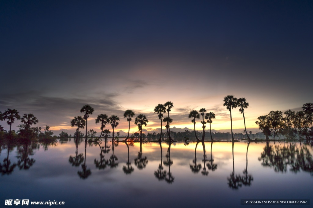 棕榈树湖水自然风光