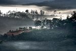 远山风景