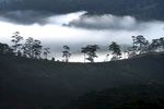 远山风景