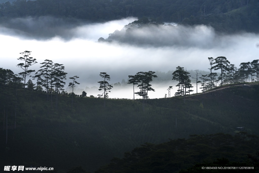 远山风景