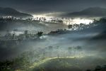 远山风景