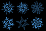 雪花