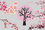 樱花