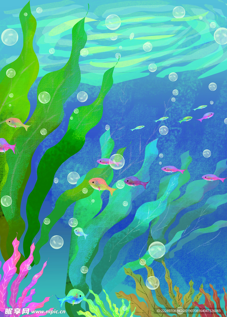 海底世界海草