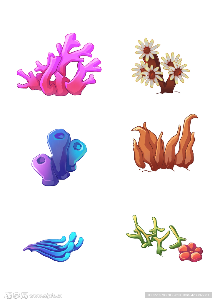 海底植物套图