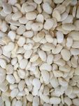 白扁豆 豆子 中药白扁豆 五谷