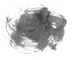 中式写意画