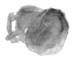 中式玄关画