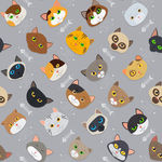猫